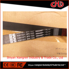 V Ribbed Belt 3911571